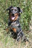 BEAUCERON 108